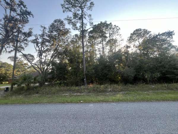 Crystal River, FL 34428,8996 N Cacalia DR