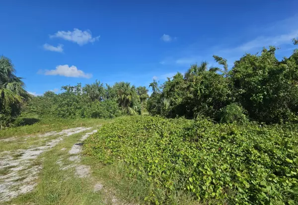 Palm Bay, FL 32908,1980 SW Conkling AVE