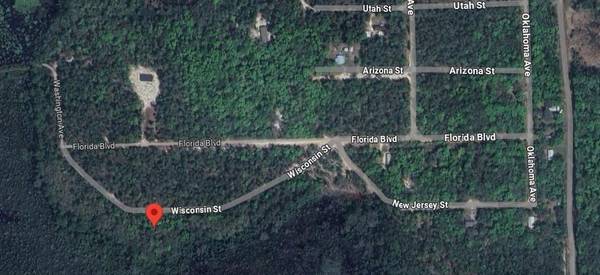 Satsuma, FL 32189,119 Wisconsin CT