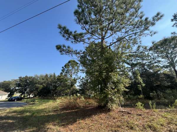 Ocala, FL 34473,0 51st CT