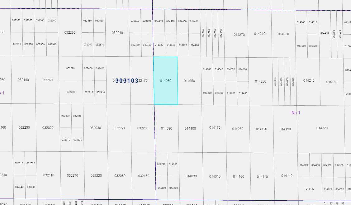 Lake Wales, FL 33898,0 South Fl Wmd Lot #2