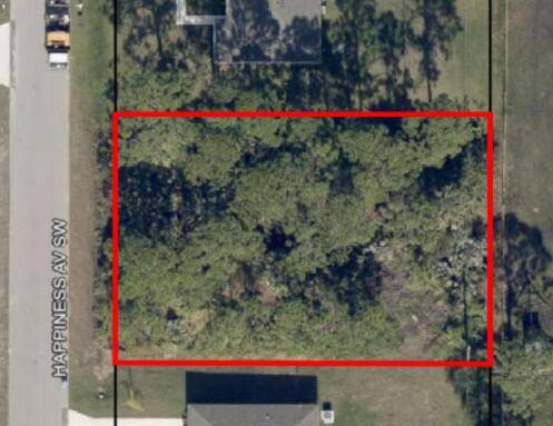 991 SW Happiness AVE,  Palm Bay,  FL 32908