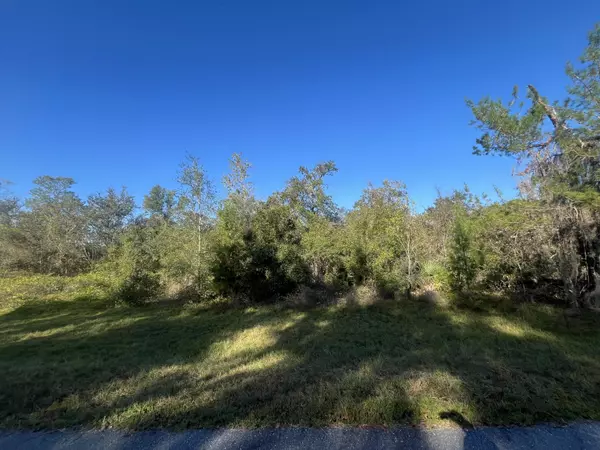 Ocala, FL 34473,Xxx 165th LN