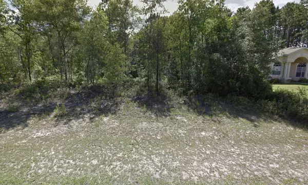 Citrus Springs, FL 34433,7925 N Ibsen DR