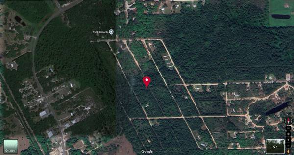 Satsuma, FL 32189,00/201 Heron RD