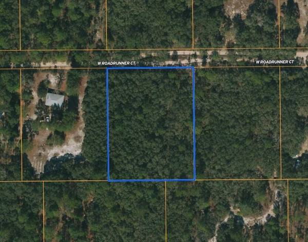 Homosassa, FL 34446,4386 W Roadrunner CT