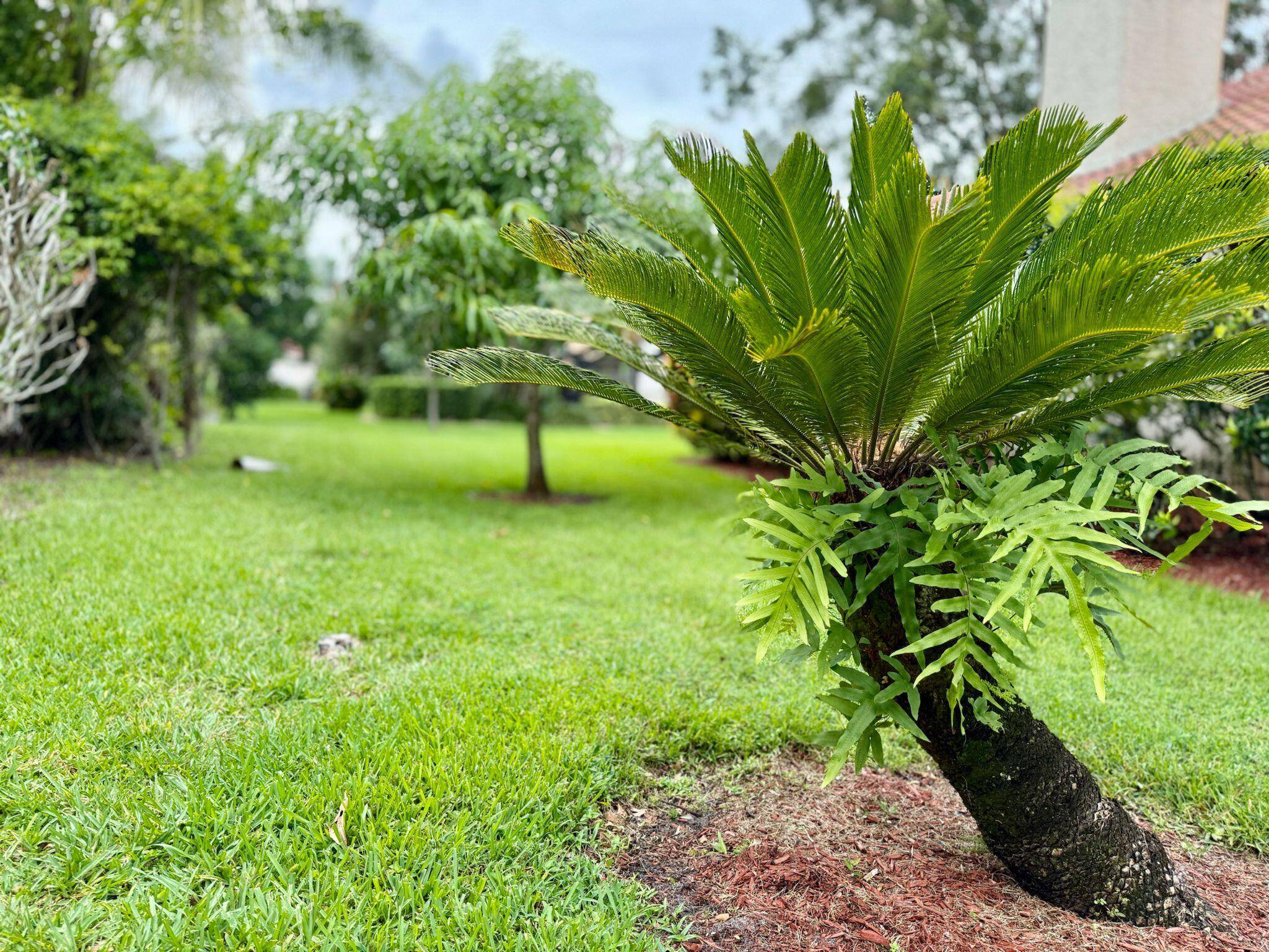 Port Saint Lucie, FL 34986,1138 SW Greenbriar CV