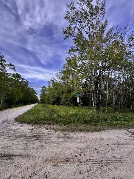 6366 Alder AVE, Bunnell, FL 32110