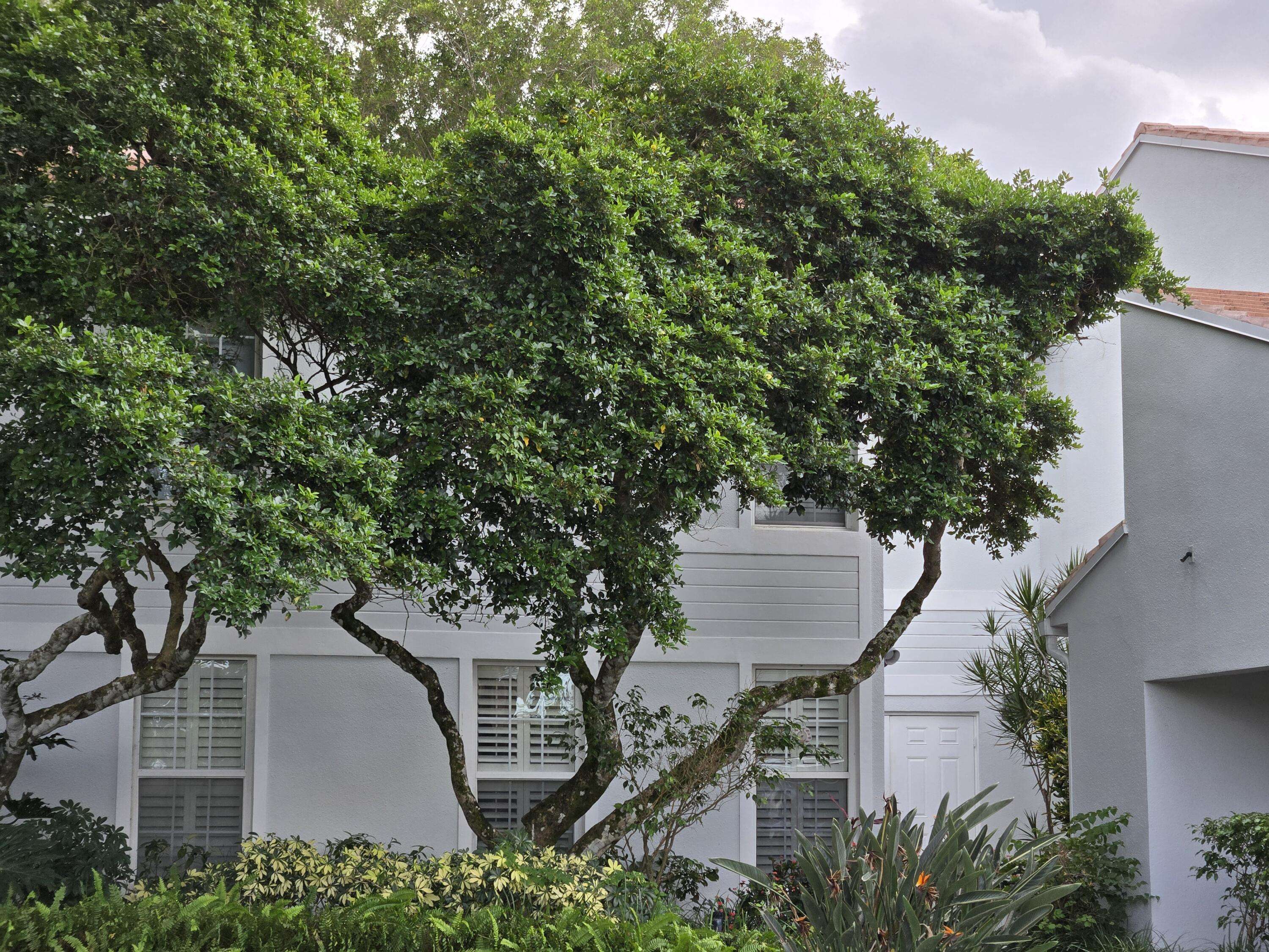 Boca Raton, FL 33433,6245 Old Court RD 101