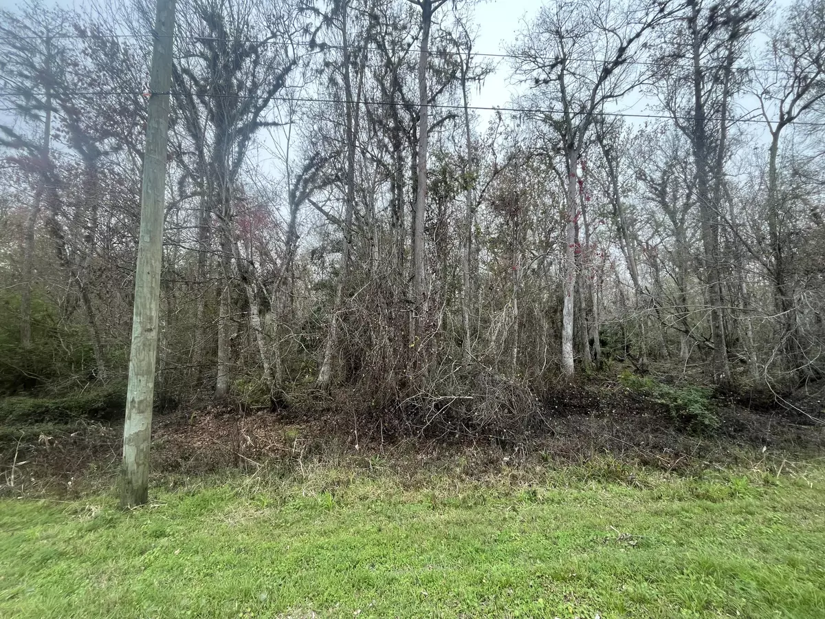 Bunnell, FL 32110,1946 Co Rd 305