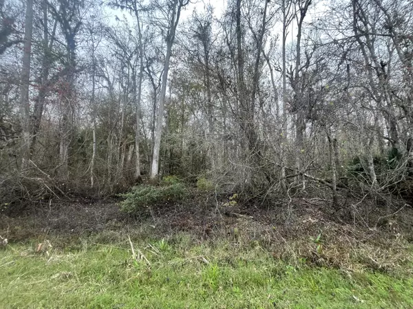 Bunnell, FL 32110,1946 Co Rd 305