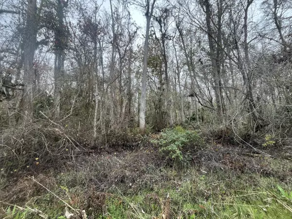 Bunnell, FL 32110,1946 Co Rd 305