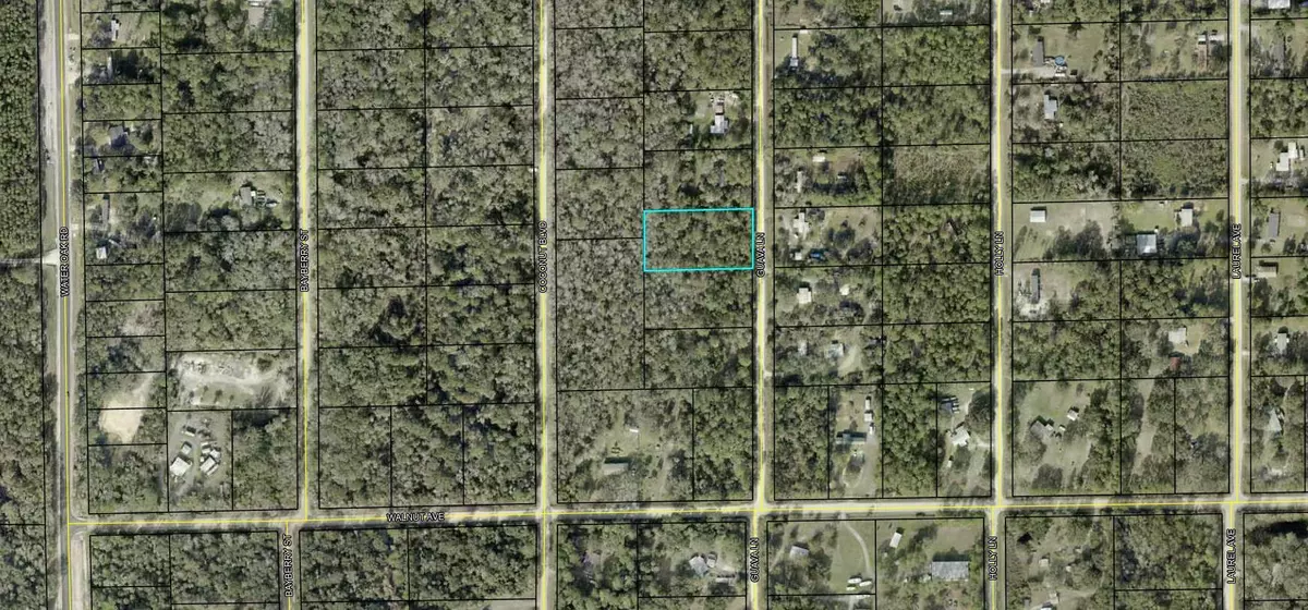 Bunnell, FL 32110,1854 Guava LN