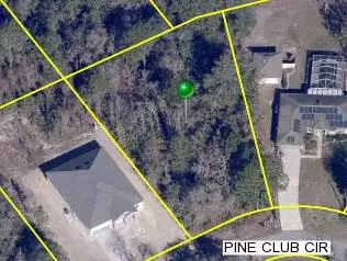 Weeki Wachee, FL 34614,Unit 4 Pine Club CIR 0