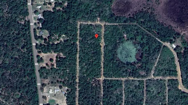 0 Virginia, Interlachen, FL 32148