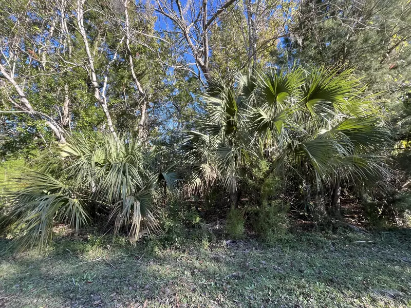 233 NW Carole RD, Lake Placid, FL 33852