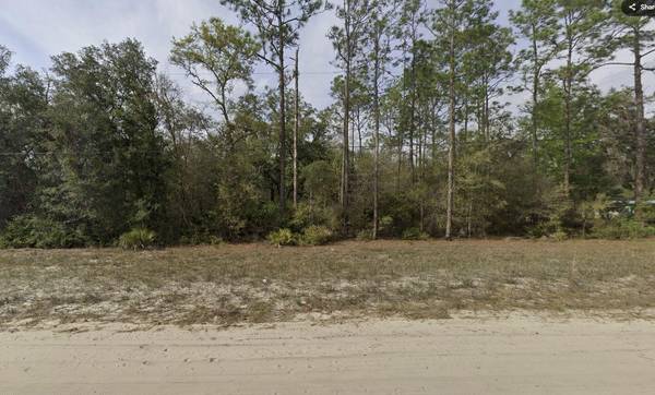 Tbd Hudson ST, Interlachen, FL 32148