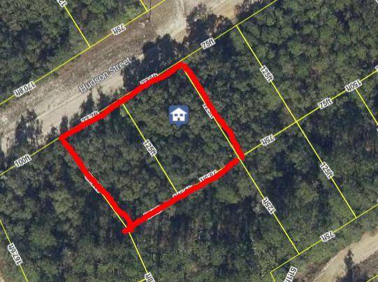 Interlachen, FL 32148,Tbd Hudson ST