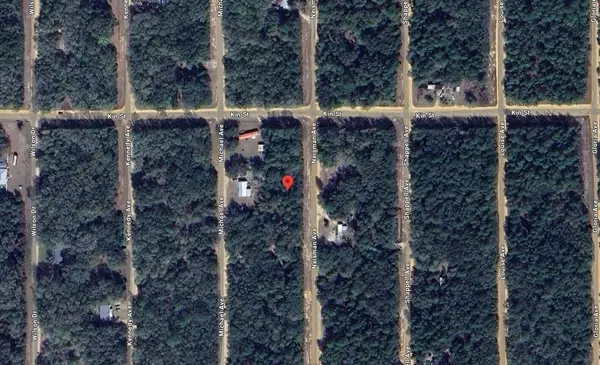 Interlachen, FL 32148,Tbd Neisman