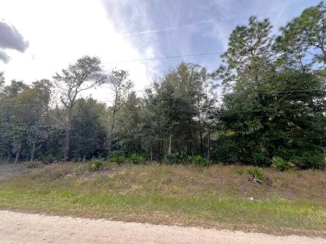 Dunnellon, FL 34432,Tbd SW 125th Court RD