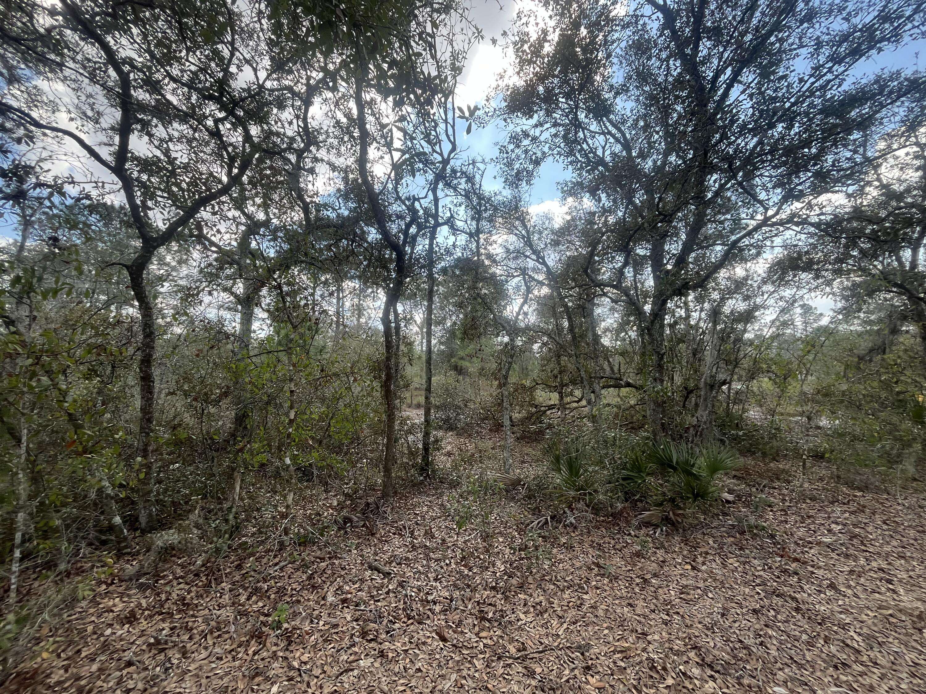 2925 W Bandra RD, Avon Park, FL 33825