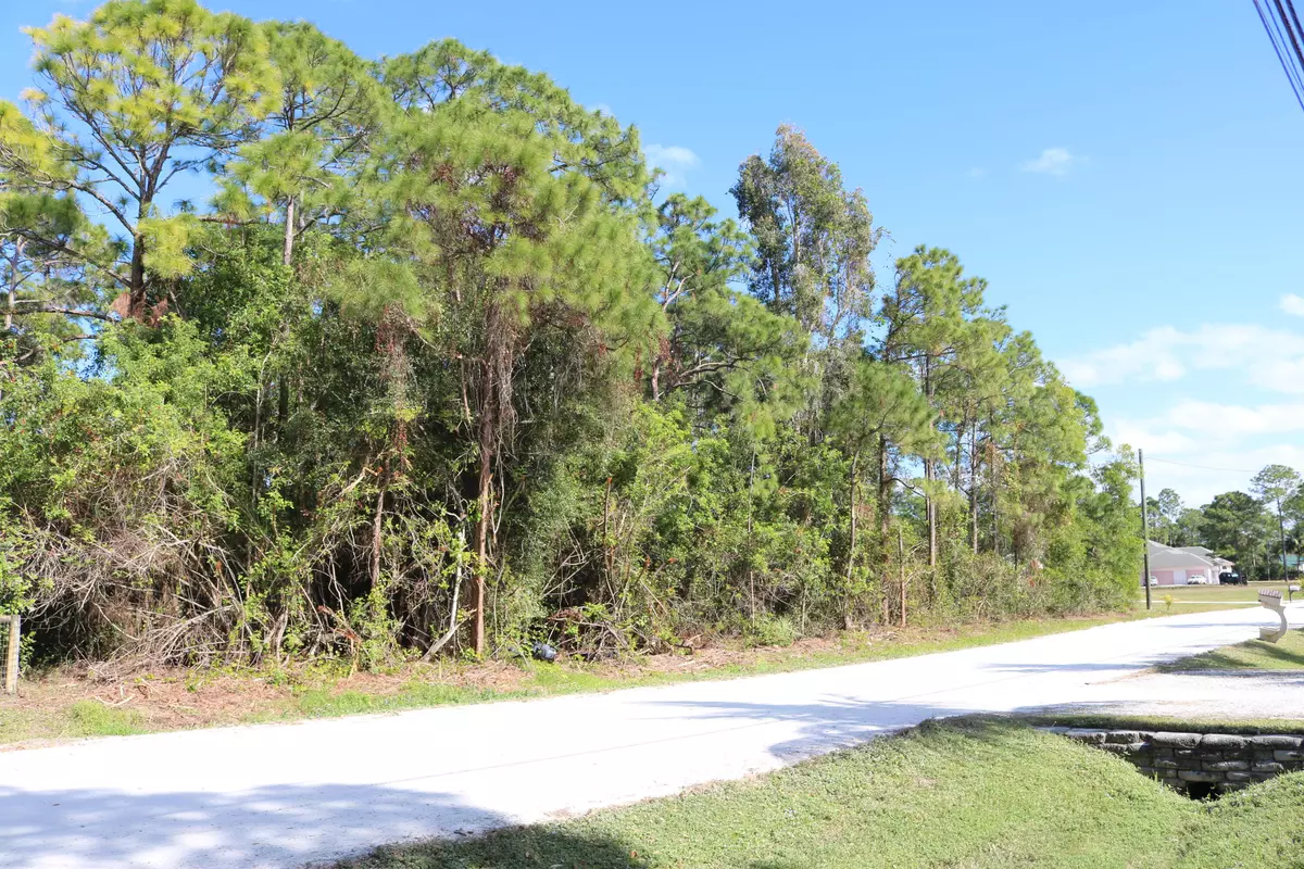 The Acreage, FL 33412,0 N 76th Road N