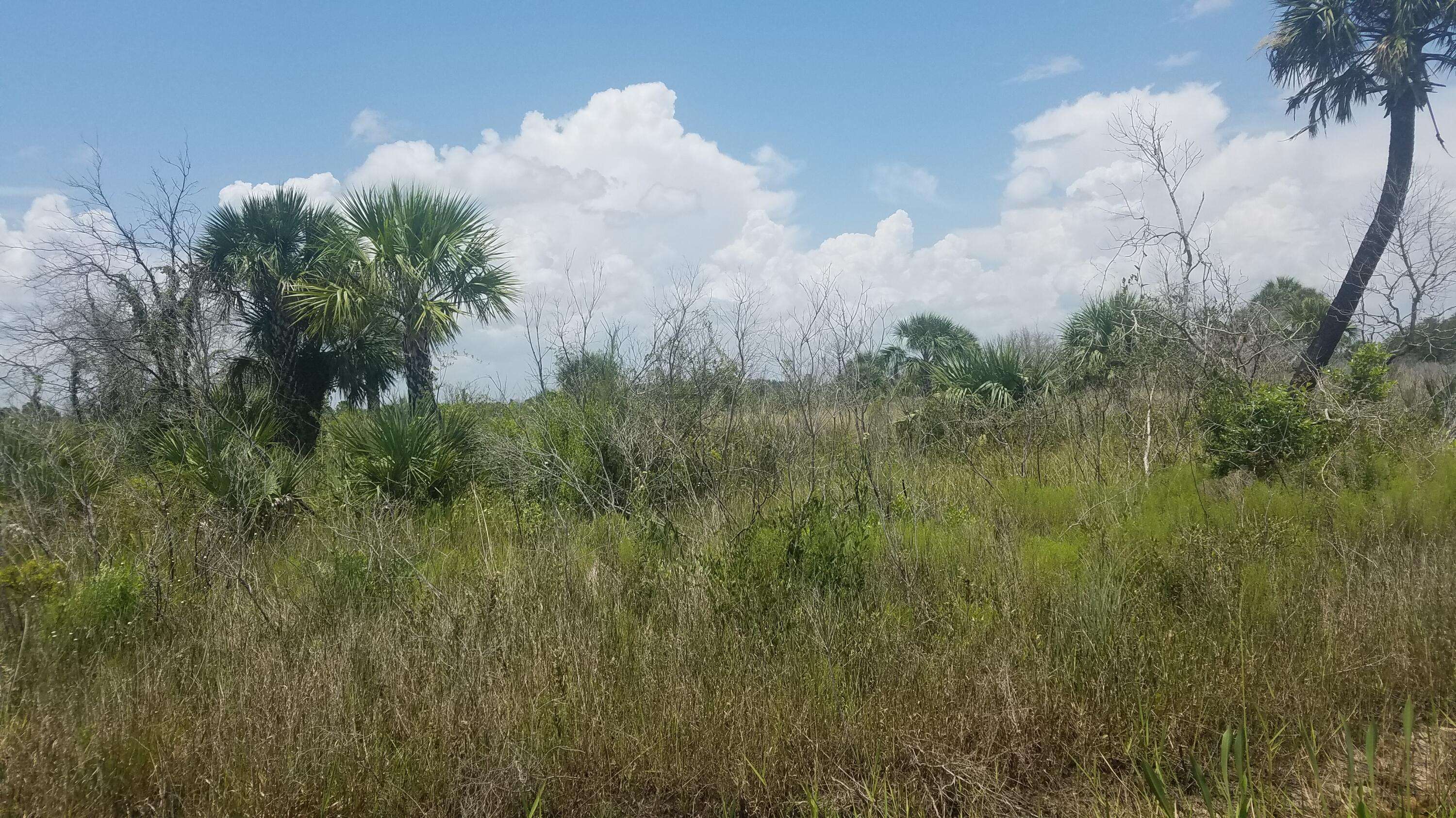 - NW 316th ST, Okeechobee, FL 34972