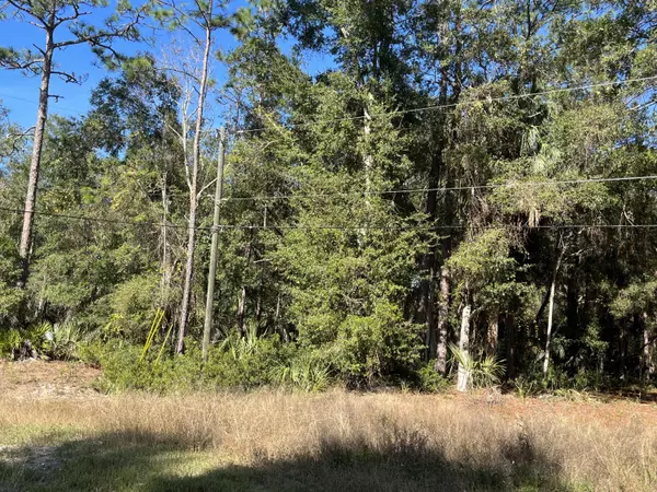 Inglis, FL 34449,13723 W Foss Groves PATH