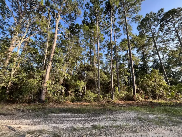 Interlachen, FL 32148,Tbd Susan ST