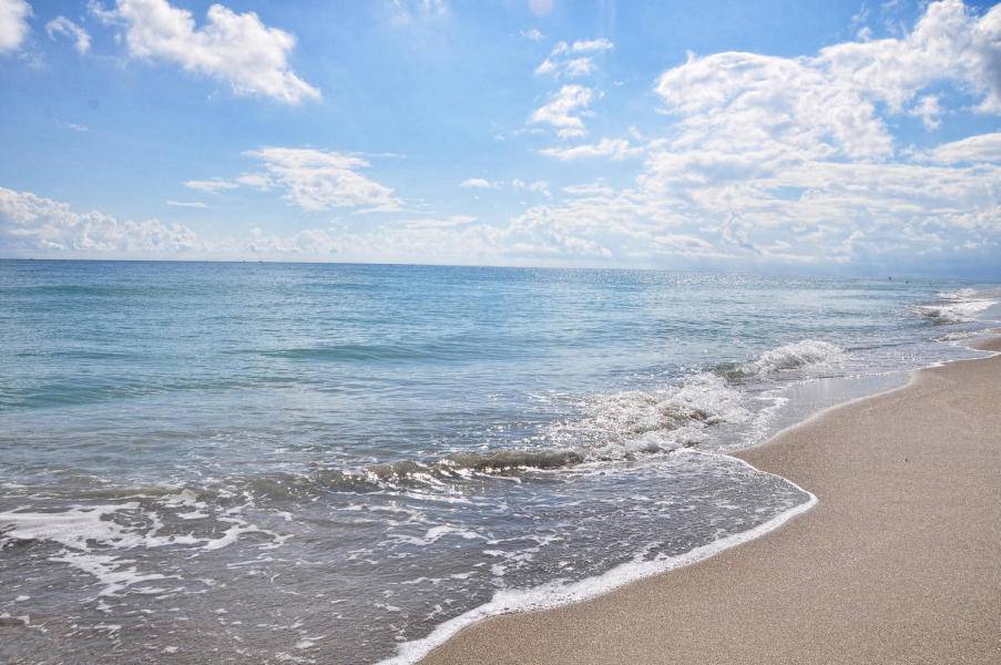 Jupiter, FL 33477,1605 S Us Highway 1 203-M1