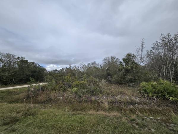 17593 NW 282nd ST, Okeechobee, FL 34972