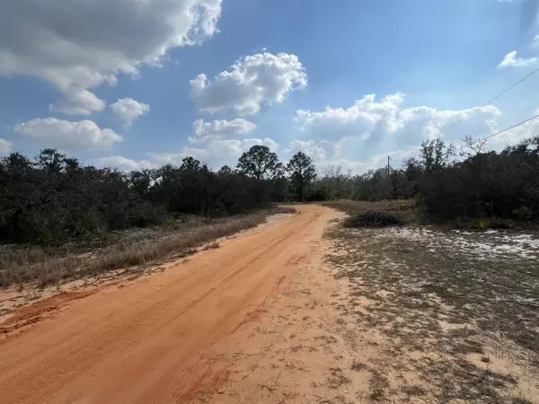 Avon Park, FL 33825,2400 Mink RD