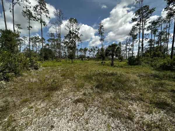 Okeechobee, FL 34972,32801 Us Highway 441n Lot 167