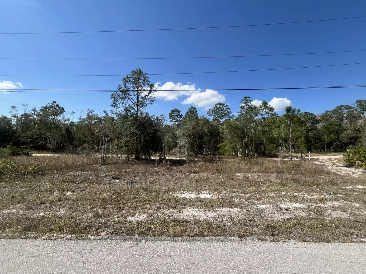 Lehigh Acres, FL 33974,494 Burrstone DR