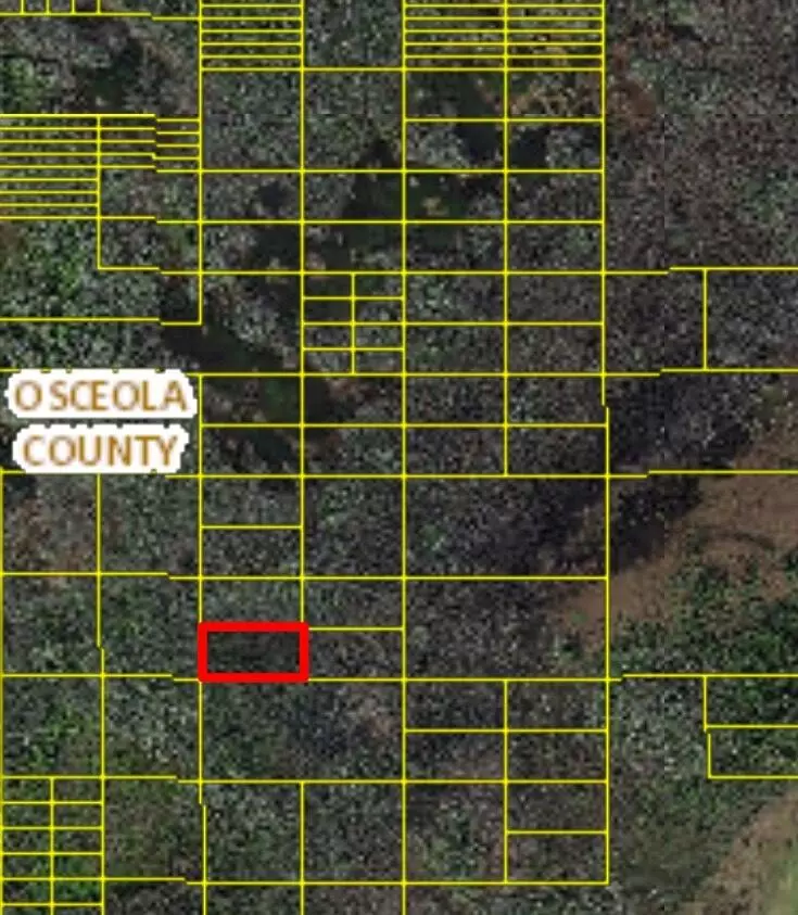St. Cloud, FL 34771,Tbd Holopaw Groves RD