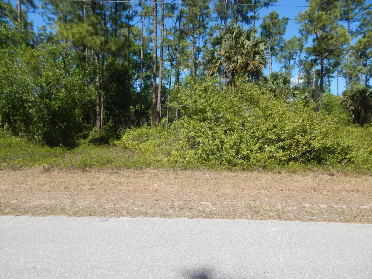 Lehigh Acres, FL 33974,1047 E Asther ST