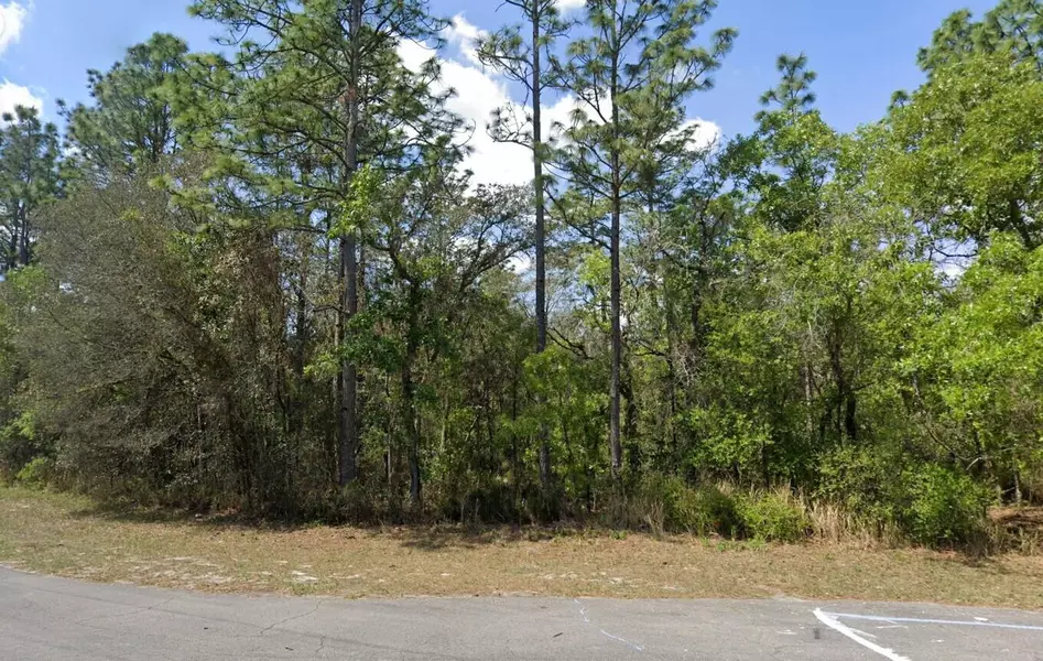 0 SW 151st LOOP, Dunnellon, FL 34432