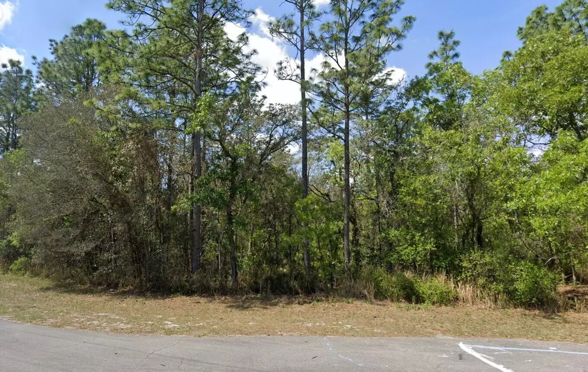 Dunnellon, FL 34432,0 SW 151st LOOP