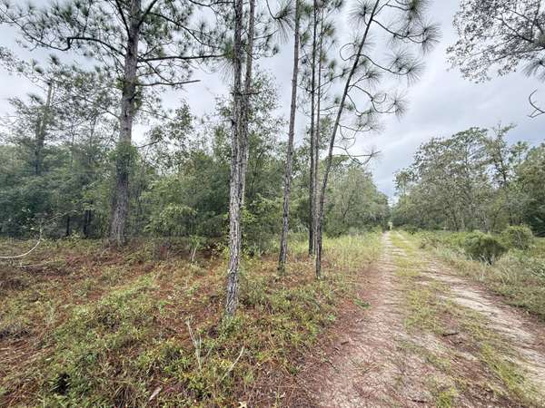 Bronson, FL 32621,0 NE 83rd LN