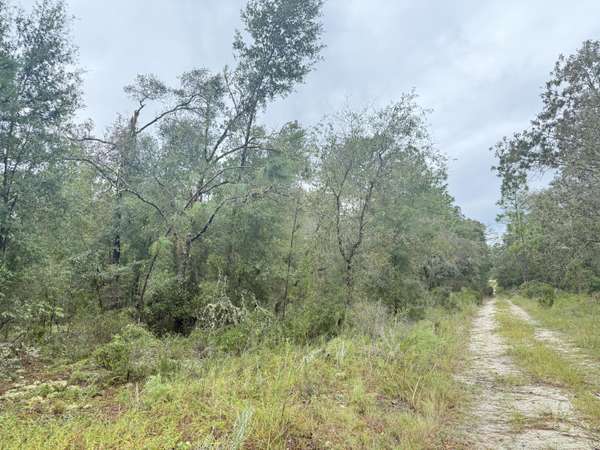 Bronson, FL 32621,0 NE 83rd LN