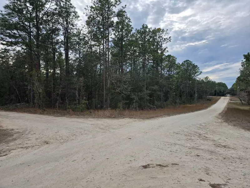 0 SW 76th LN, Dunnellon, FL 34432