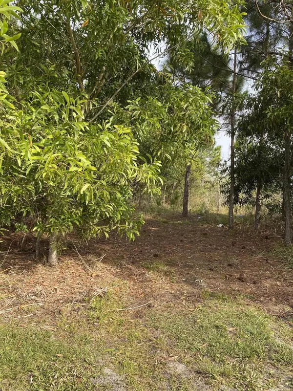 Loxahatchee, FL 33470,17755 Fox Trail LN