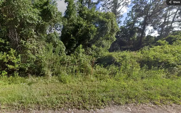 Tbd Locust, Ocala, FL 34472