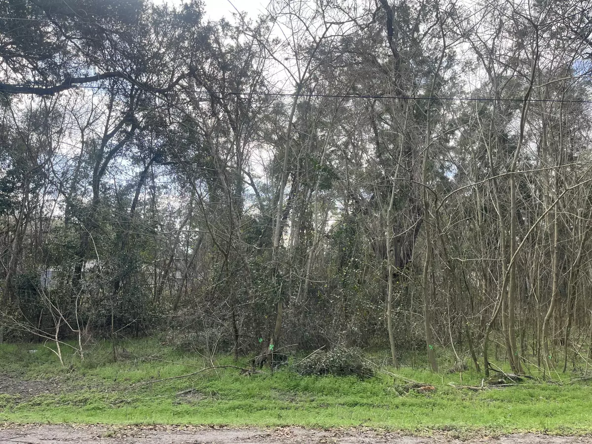 Ocala, FL 34482,Lot # 19 NW 65th PL