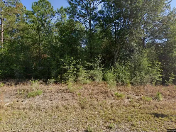 20313 SW Audubon AVE Lot 29, Dunnellon, FL 34431