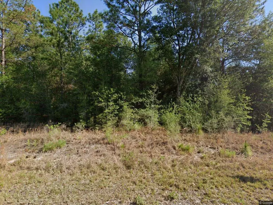 Dunnellon, FL 34431,20313 SW Audubon AVE Lot 29