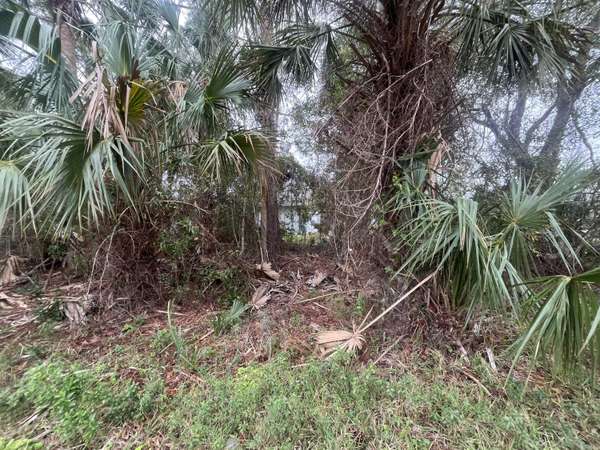 Palm Coast, FL 32164,16 White Oak LN