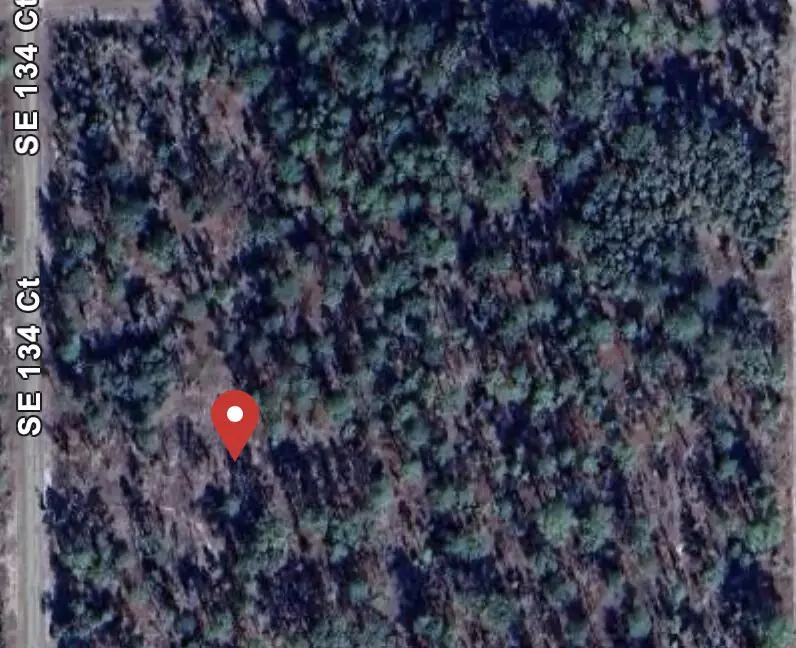 Dunnellon, FL 34431,0 SE Southeast 134 CT