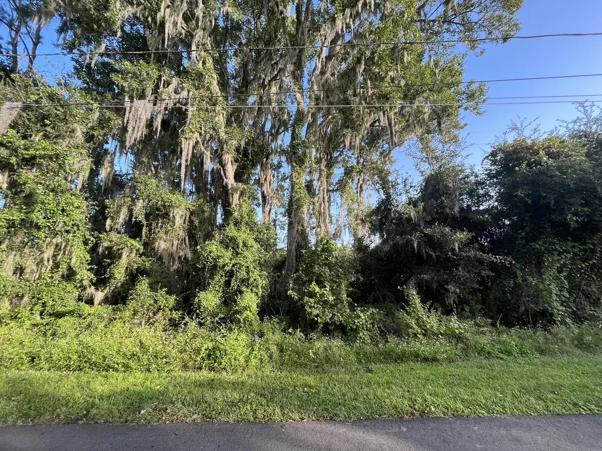 Debary, FL 32713,262 Toms RD