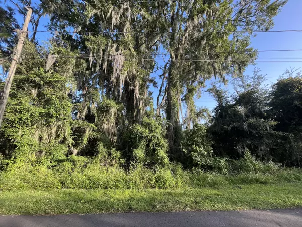 Debary, FL 32713,262 Toms RD